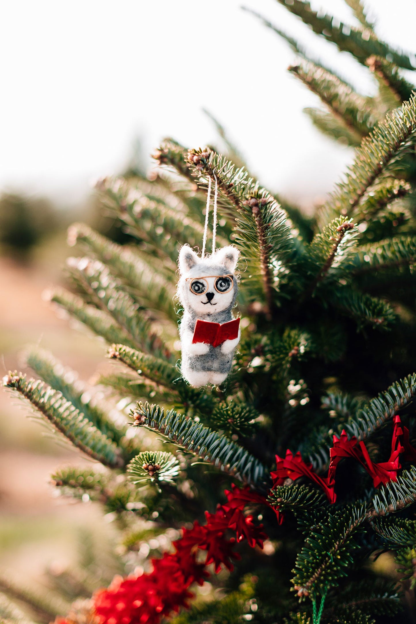 Ornament cat w/book/glasses felt/ppr 3.5H gray/red