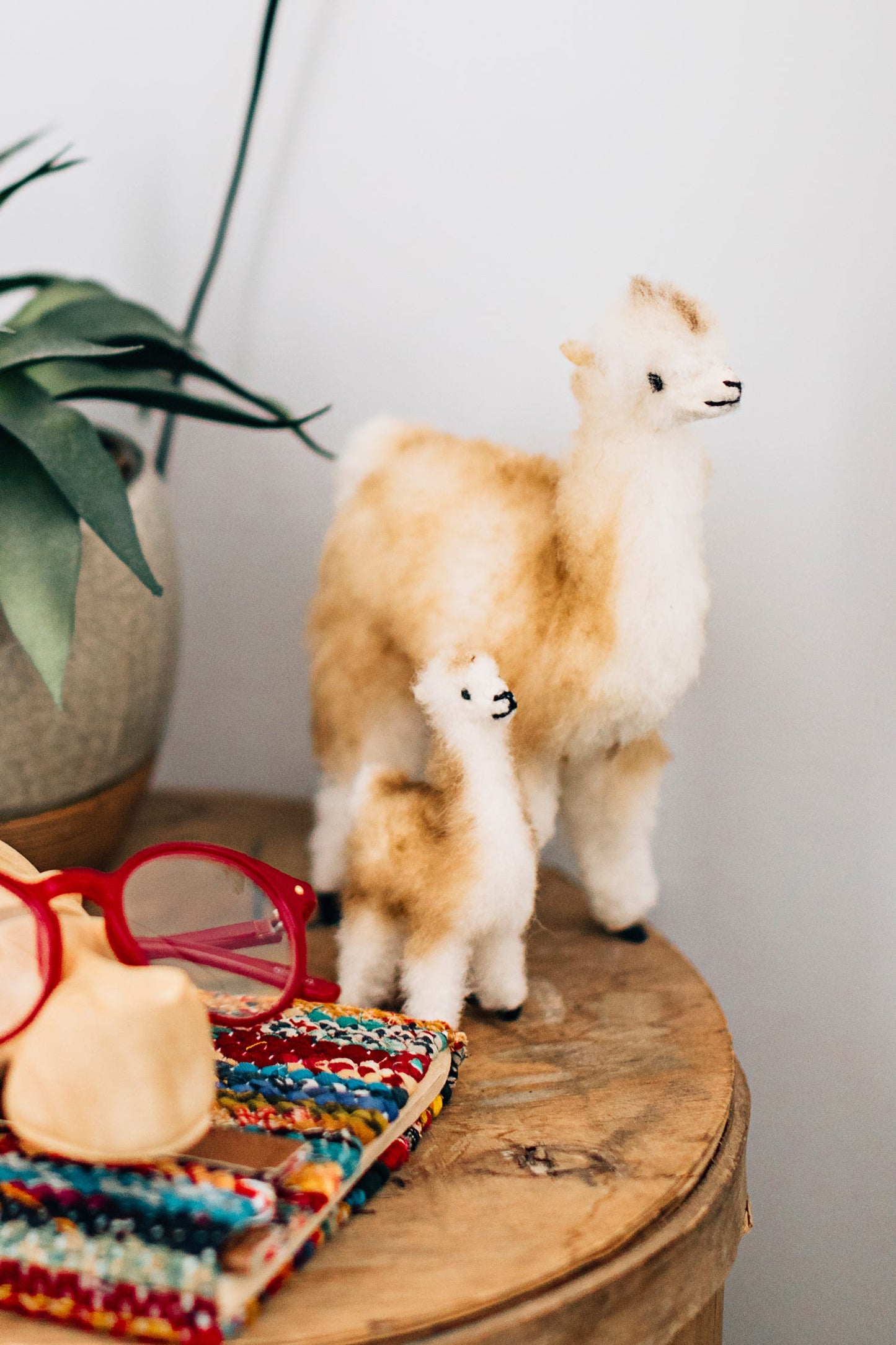 Vicuna wool 8H tan/cream