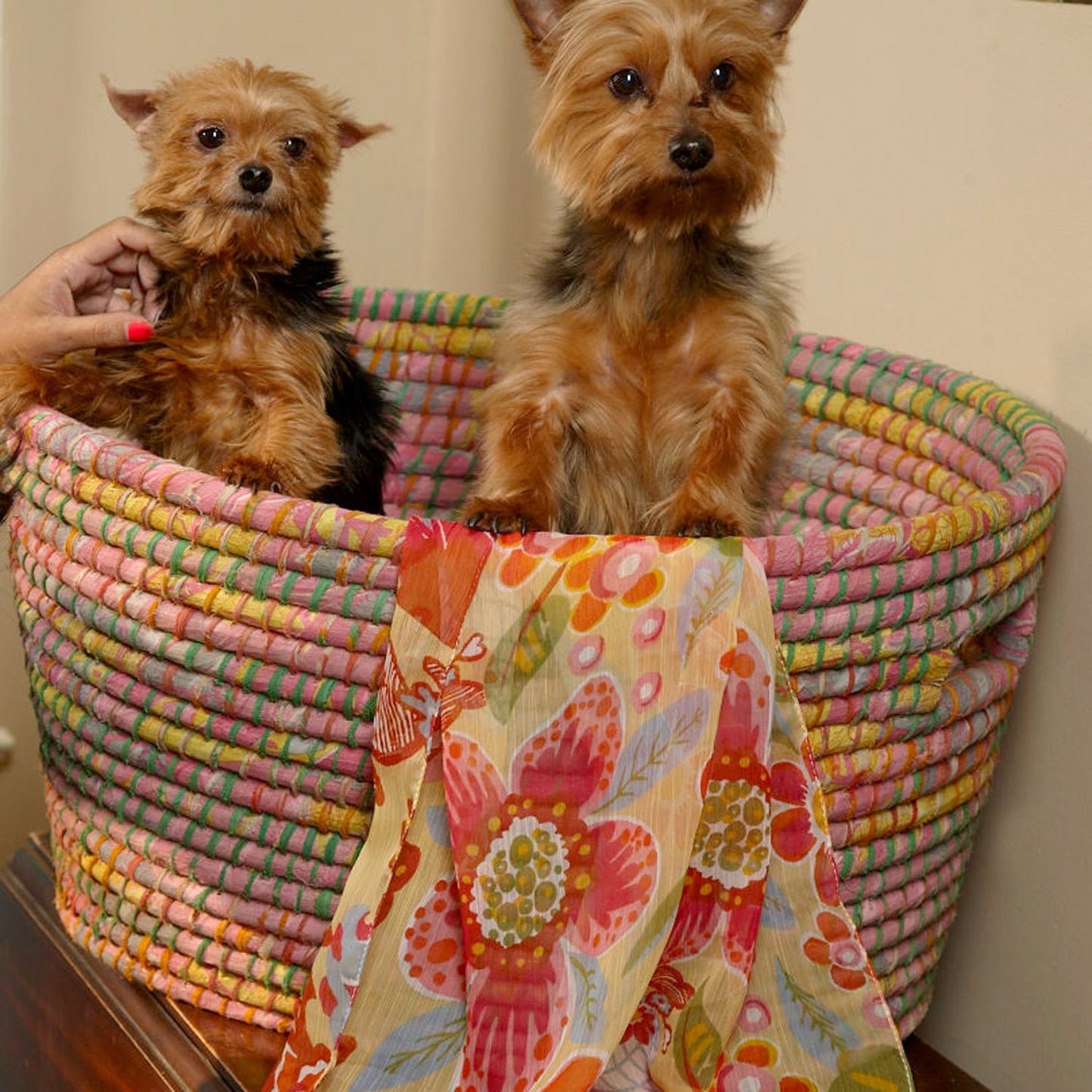Basket laundry kaisa/sari 25L asst