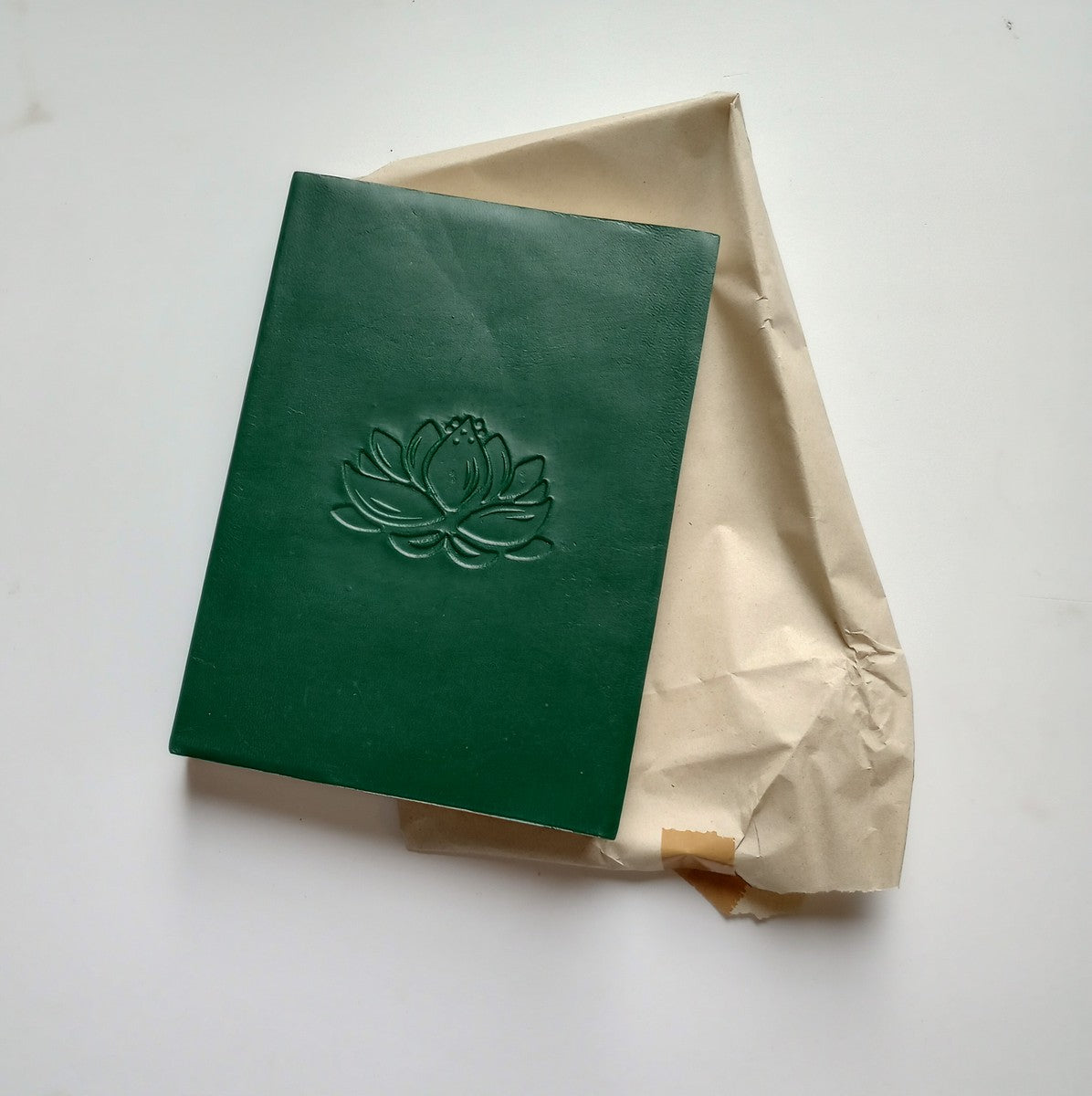 Journal lotus paper/leather 8Lx6W green/cream