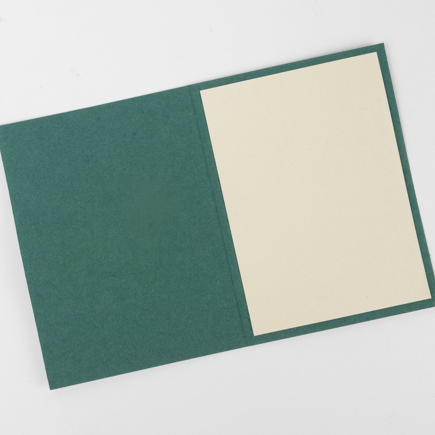 Card single flwr M/3 hogla leaves/ppr 4x6 teal/yel