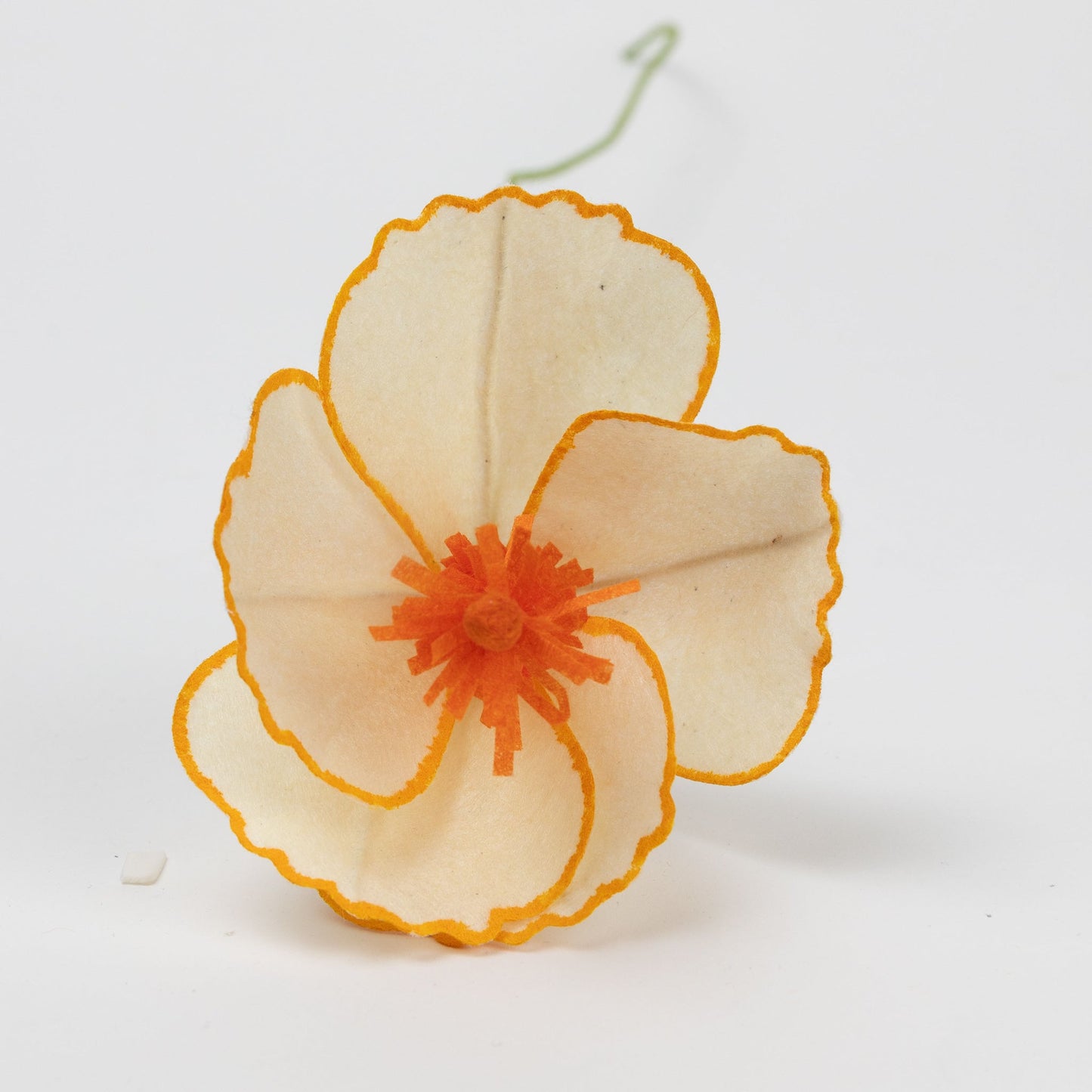 Flower hibiscus M/5 ppr/wr prpl/yel/peach/pnk/orng