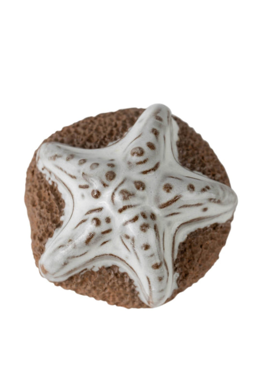 Foot scrubber starfish M/3 2.5D brown/cream