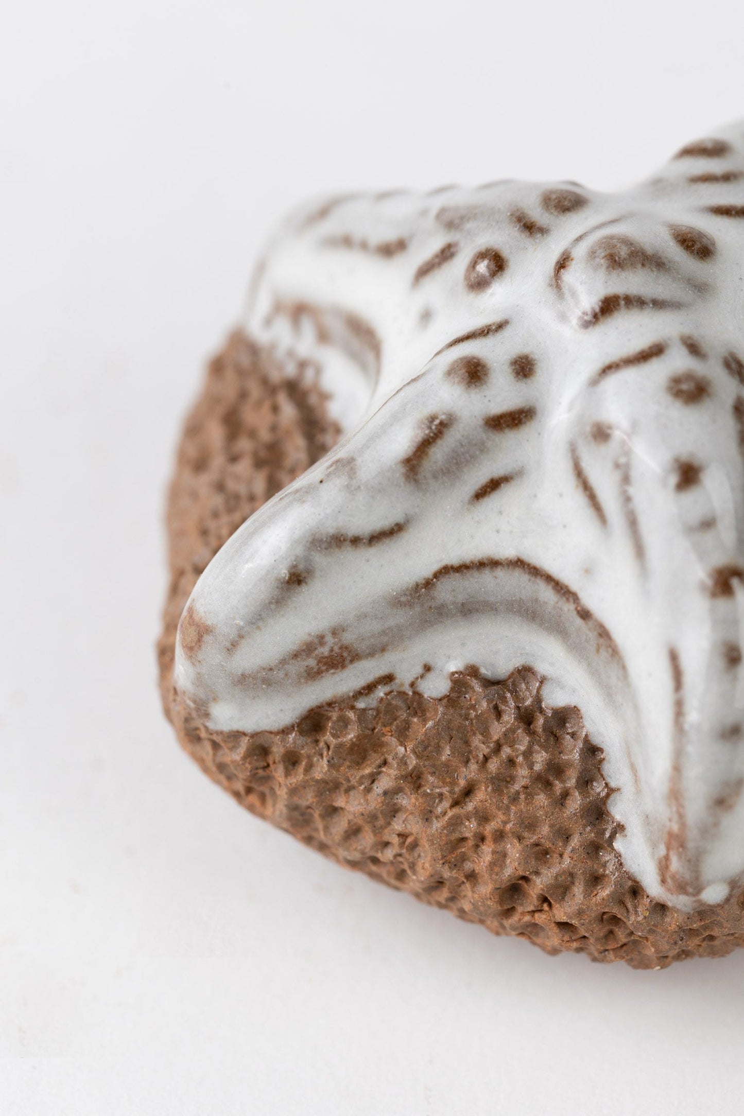 Foot scrubber starfish M/3 2.5D brown/cream