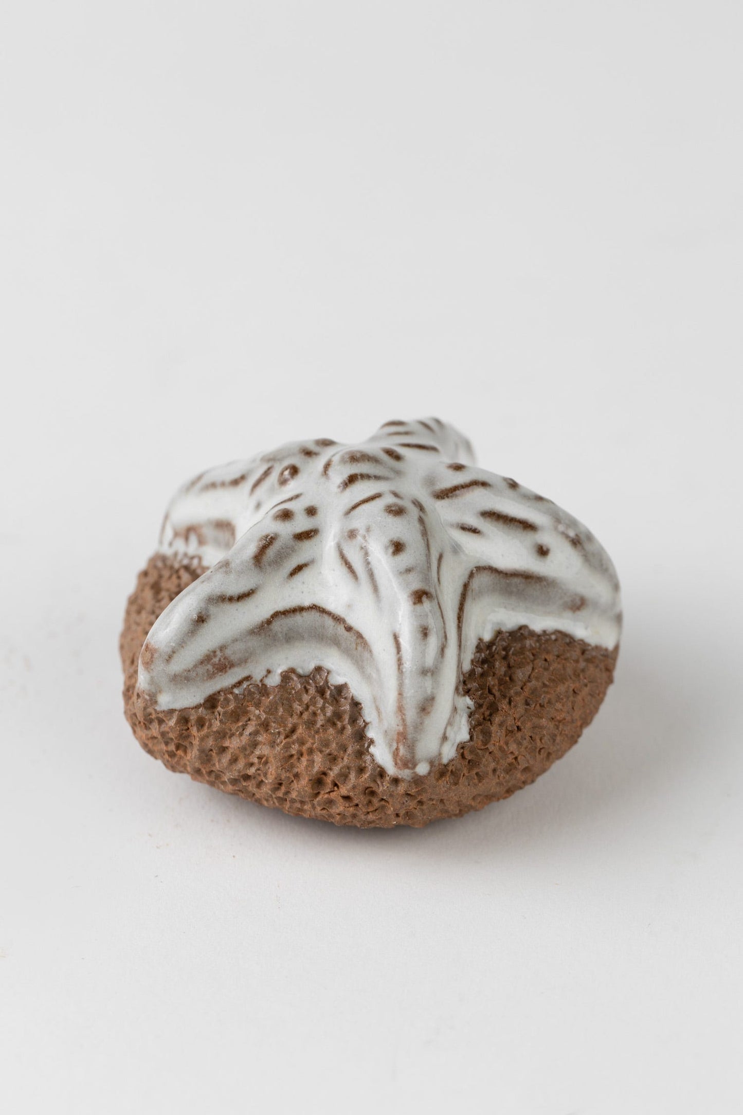 Foot scrubber starfish M/3 2.5D brown/cream