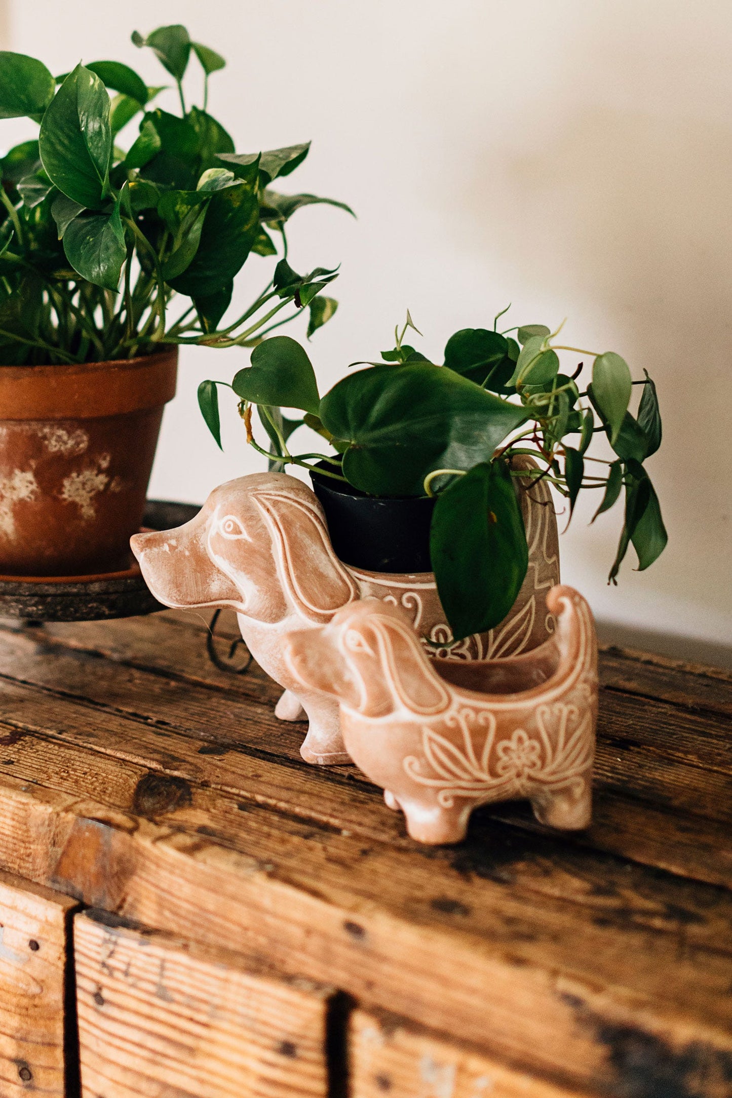 Planter dog t-cotta 9Lx6H whitewash