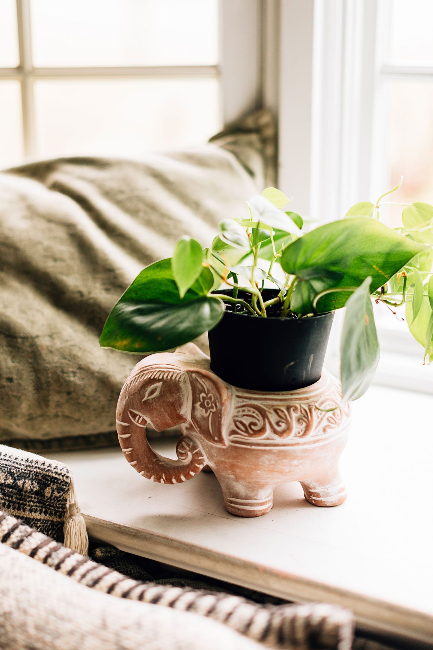 Planter elephant t-cotta 7Lx5H whitewash