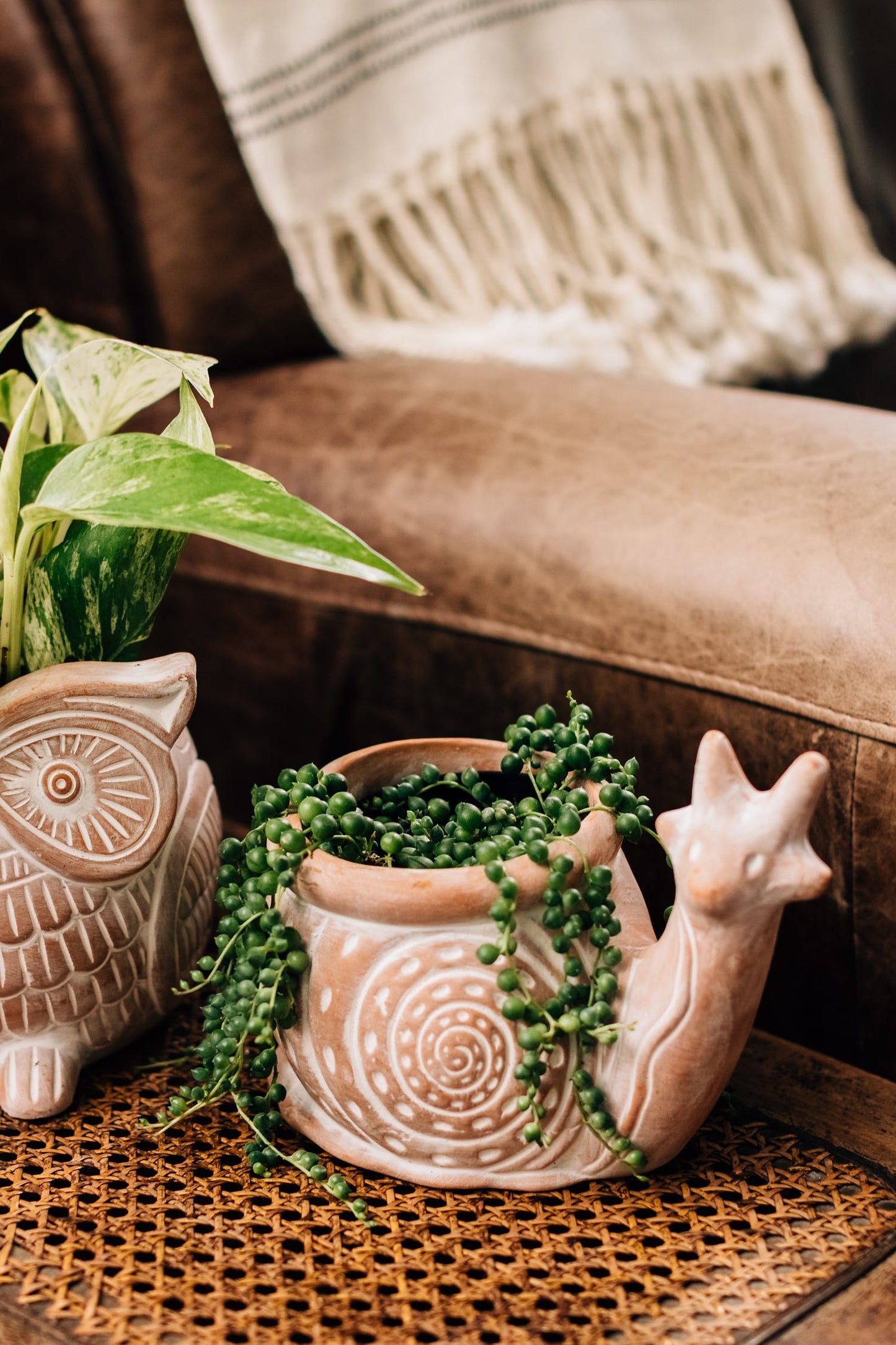 Planter snail terra cotta 8Lx5Wx6H white wash
