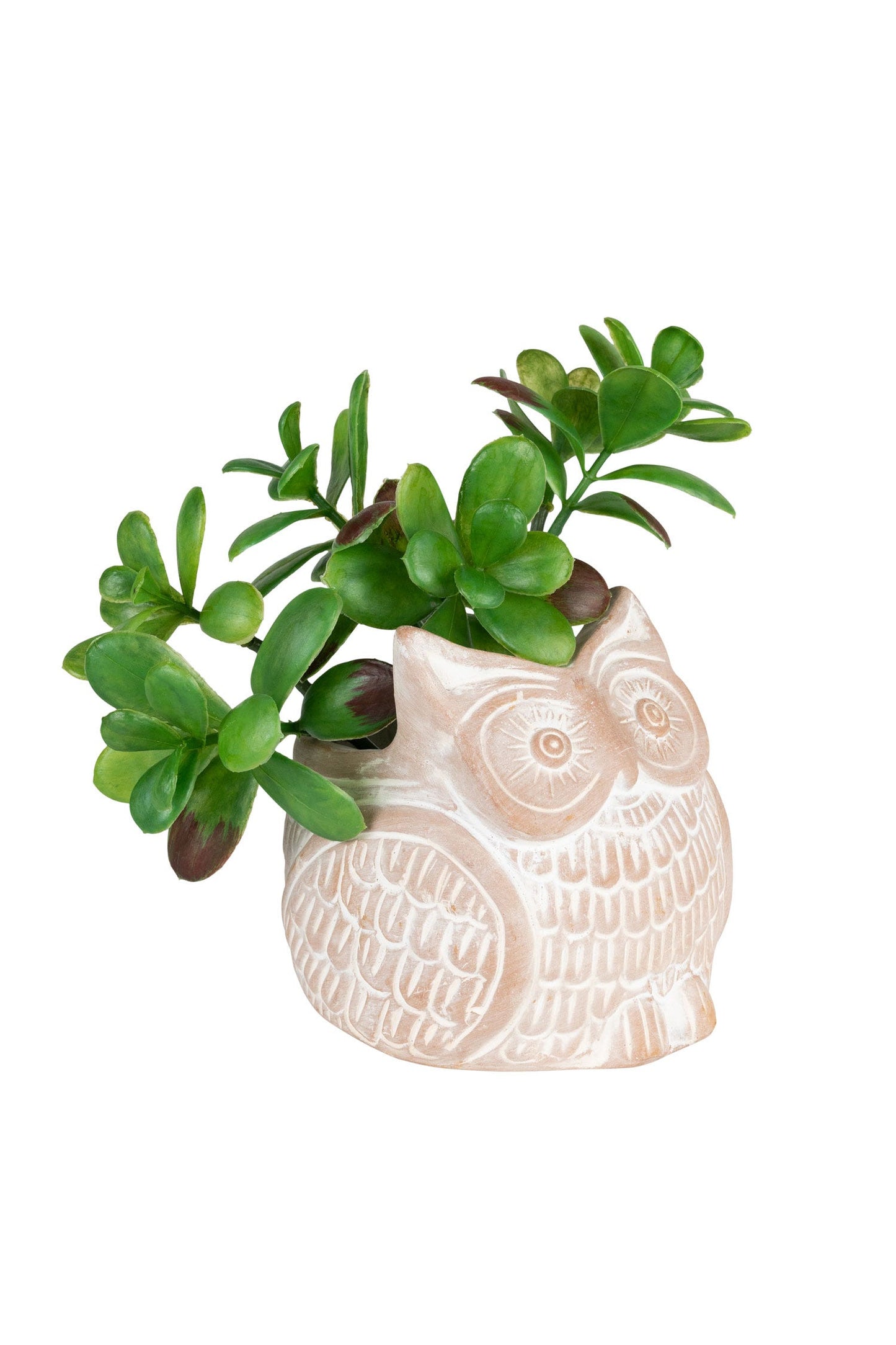Planter petite owl t-cotta 5Dx5H whitewash