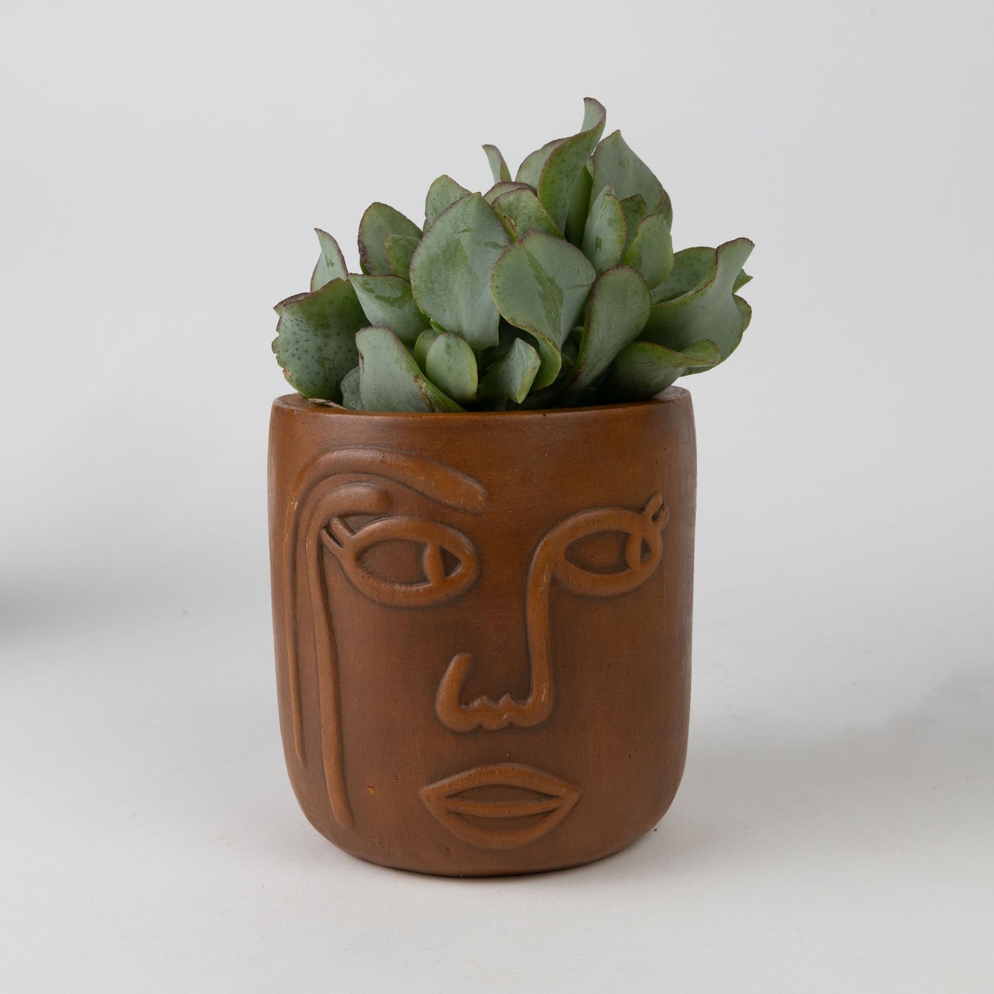 Big Brown Eyes Terracotta Face Planter 4" - Default Title (6601600)