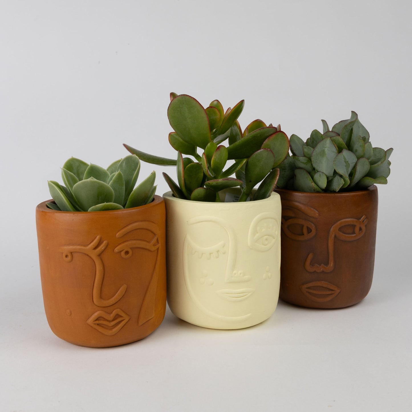Big Brown Eyes Terracotta Face Planter 4" - Default Title (6601600)