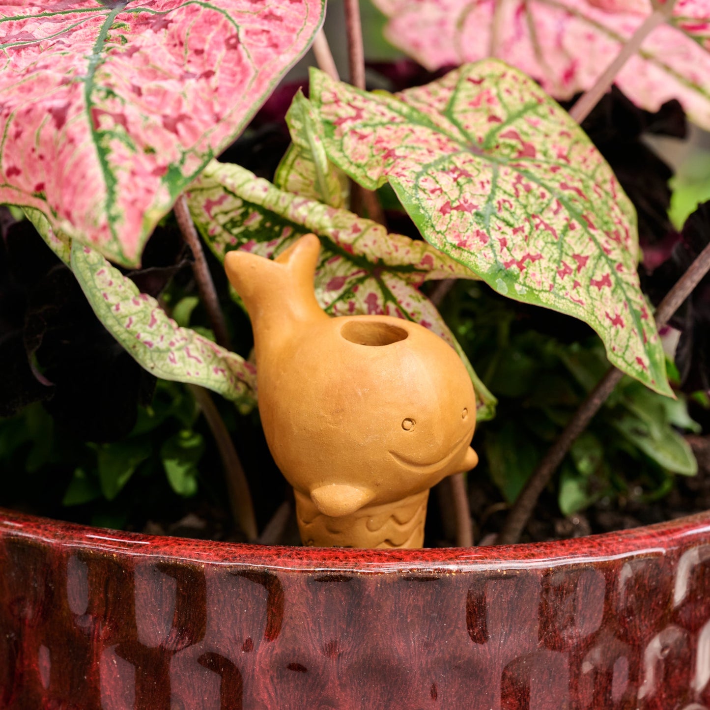 Plant self waterer whale M/2 t-cotta 6H nat