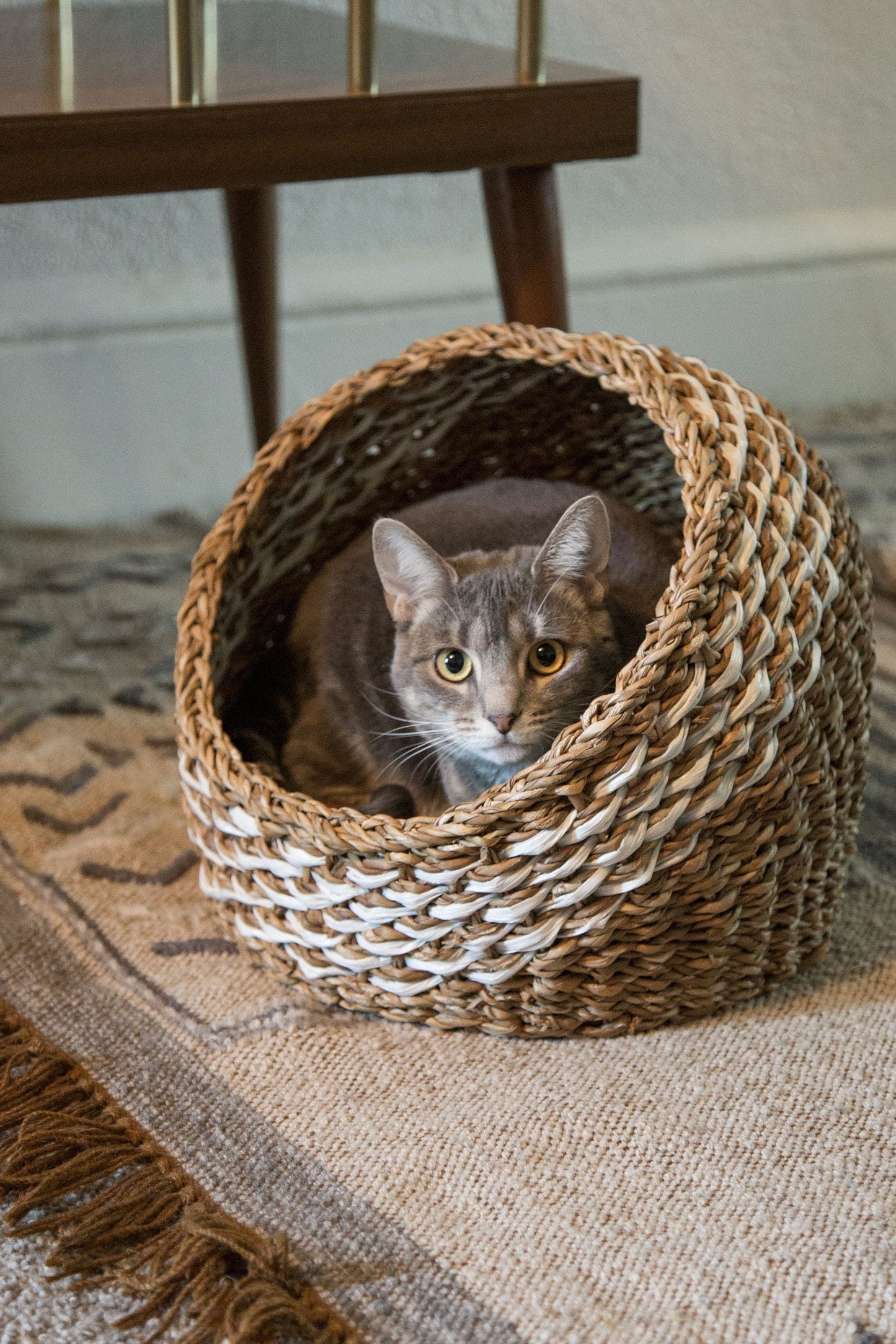 Basket f/cat w/pillow sari/hogla 13D brown/asst