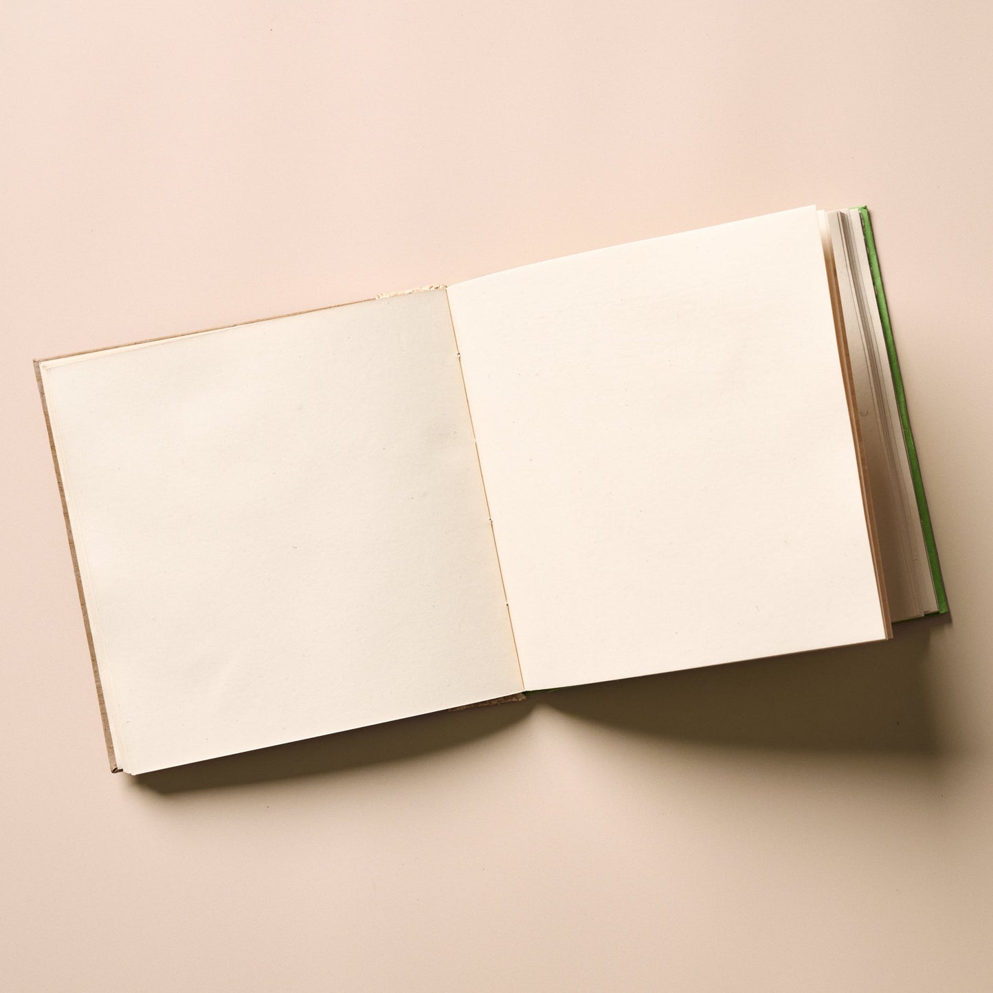 Journal sq w/flower ppr/b-leaf 7sq green/tan/asst