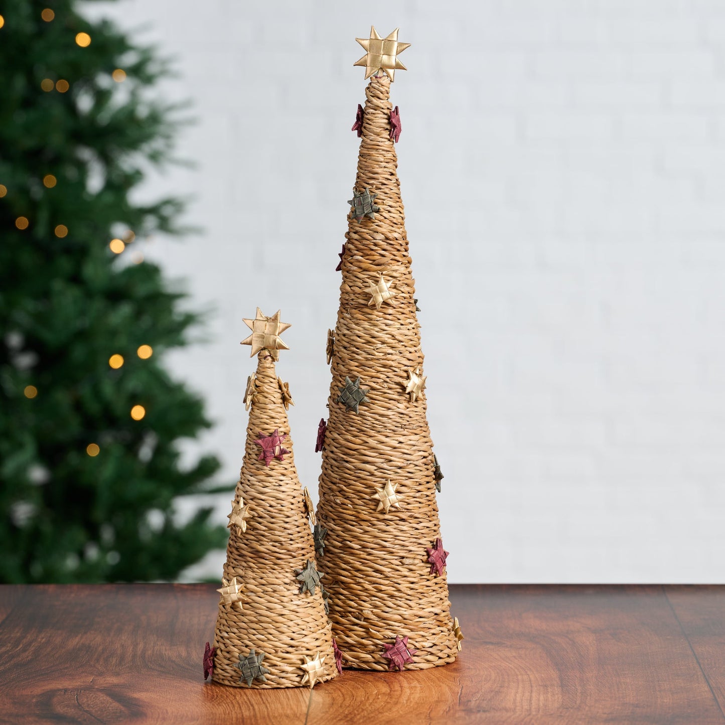Tree cone M hogla/sari/paper 12H nat/multi