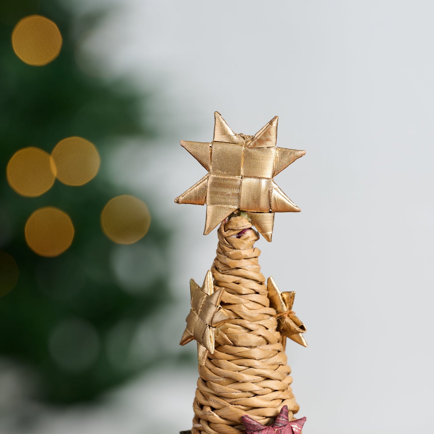 Tree cone M hogla/sari/paper 12H nat/multi