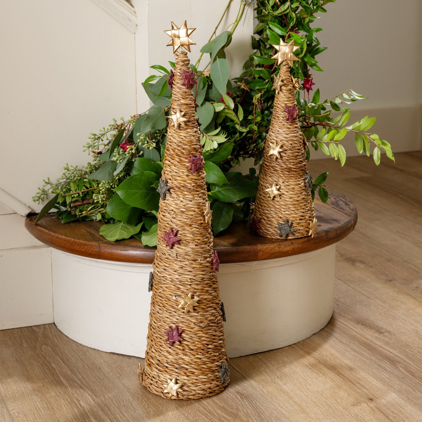 Tree cone M hogla/sari/paper 12H nat/multi