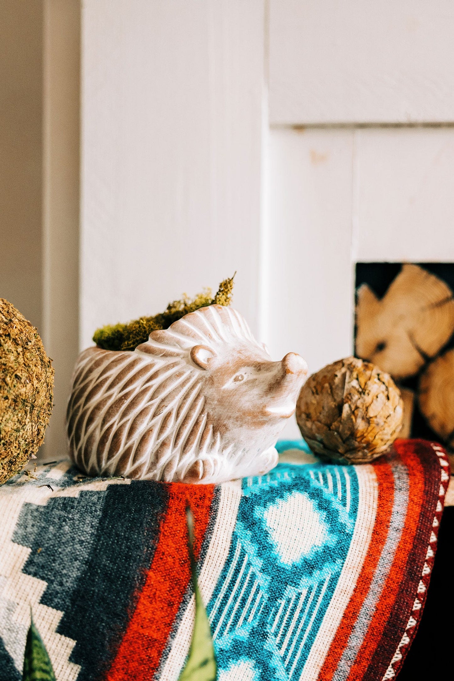 Planter hedgehog t-cotta 5H white wash