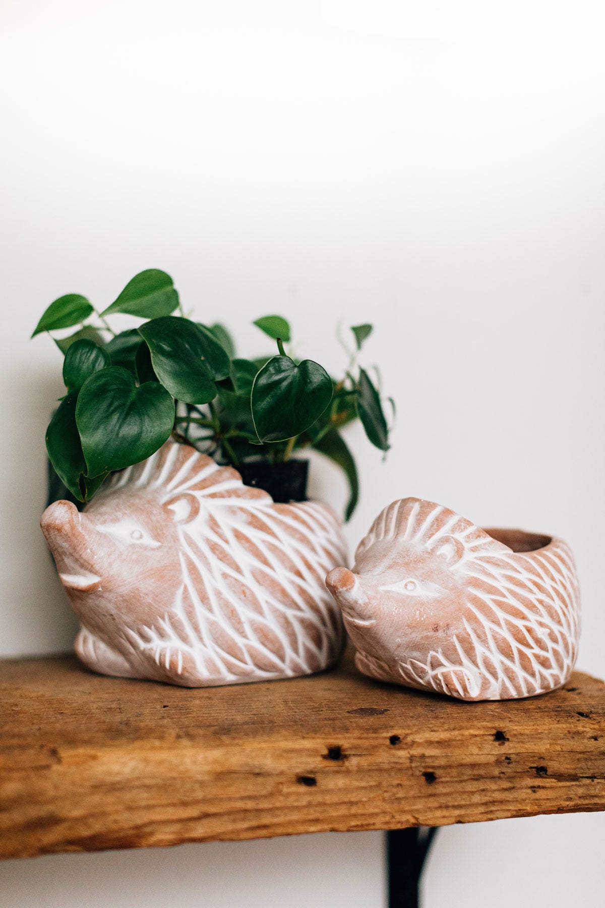 Planter hedgehog t-cotta 5H white wash