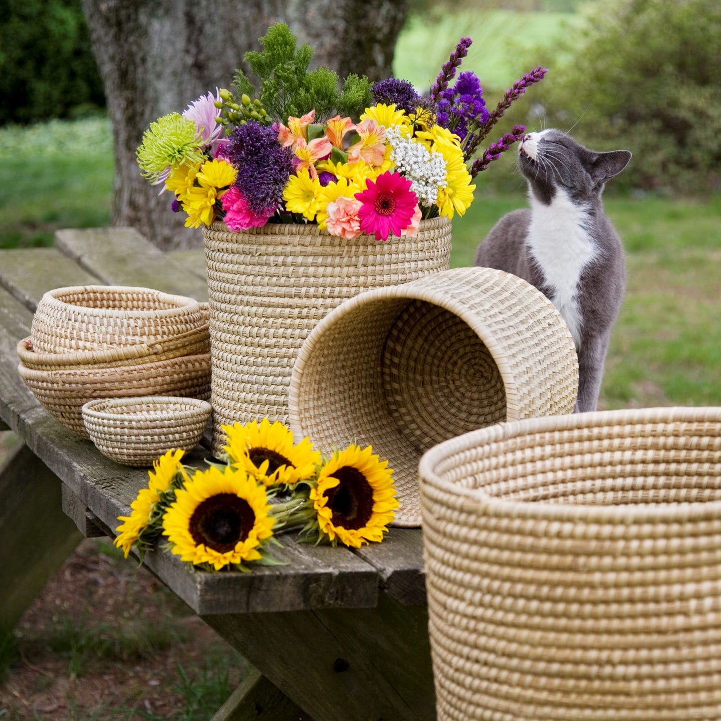 Basket bowl kaisa grass 6Dx3 natural