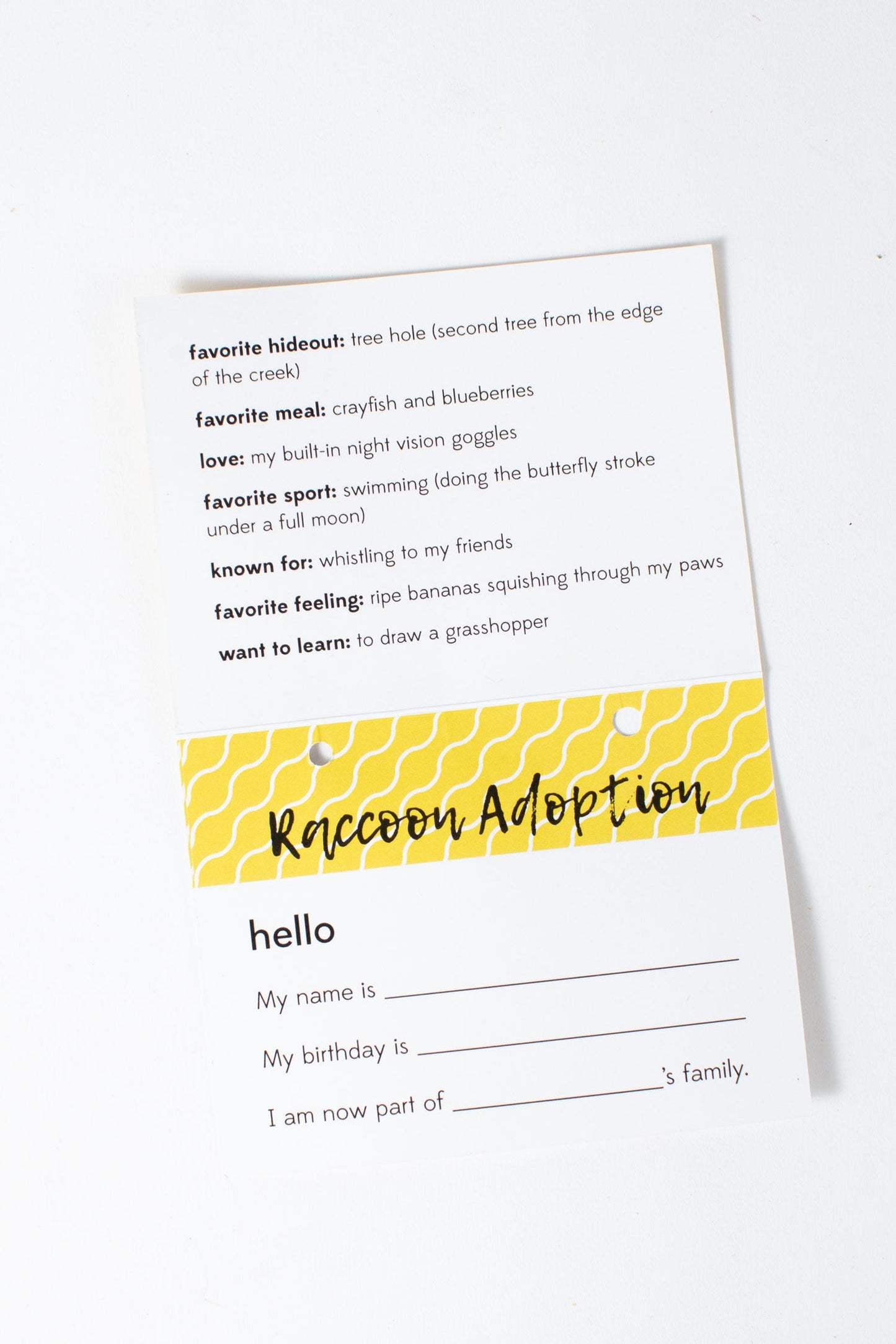 Raccoon w/adoption card stuffed cotton 7H gray/blk