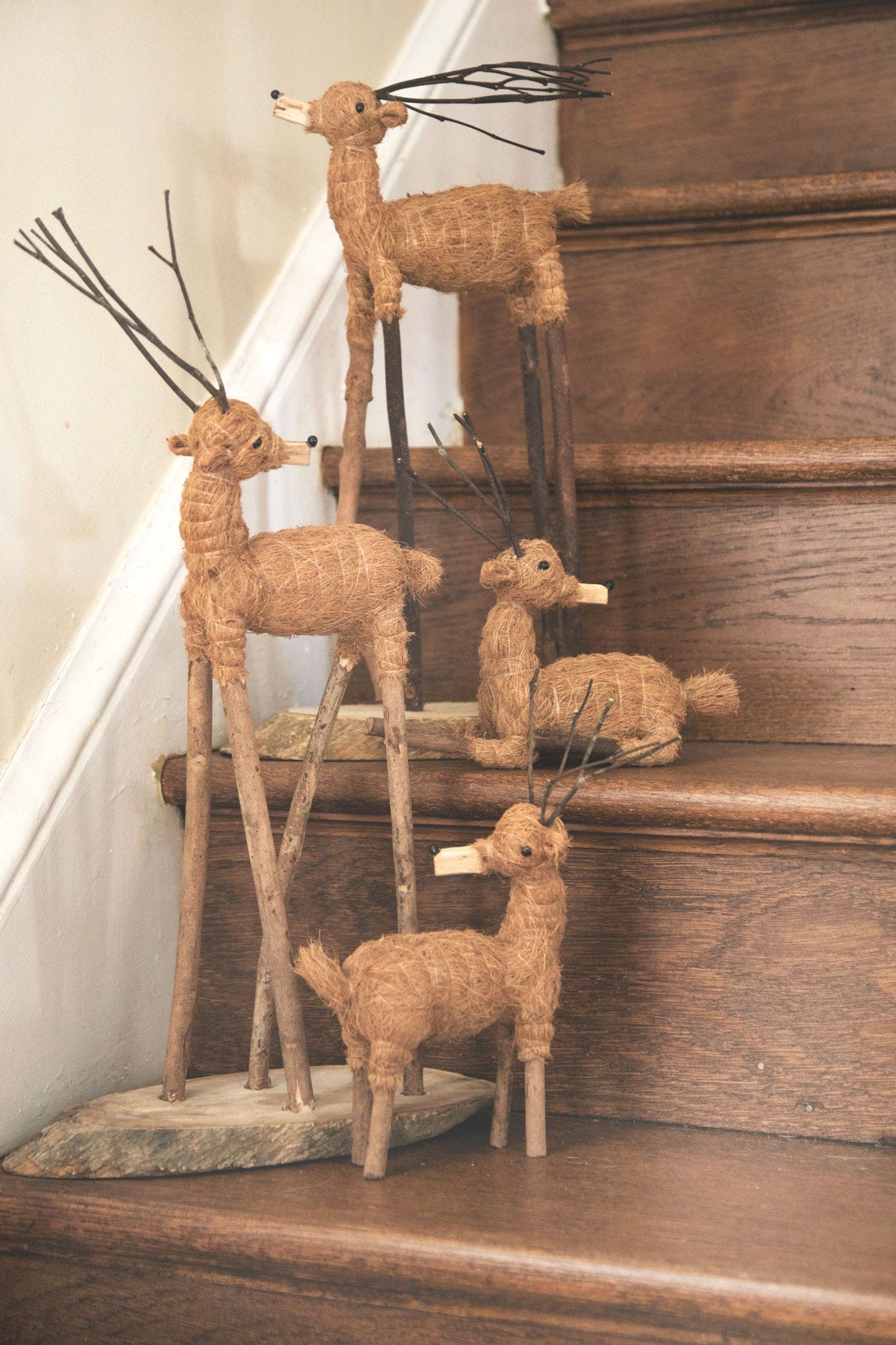 Reindeer sitting V/2 coir/wd 8H