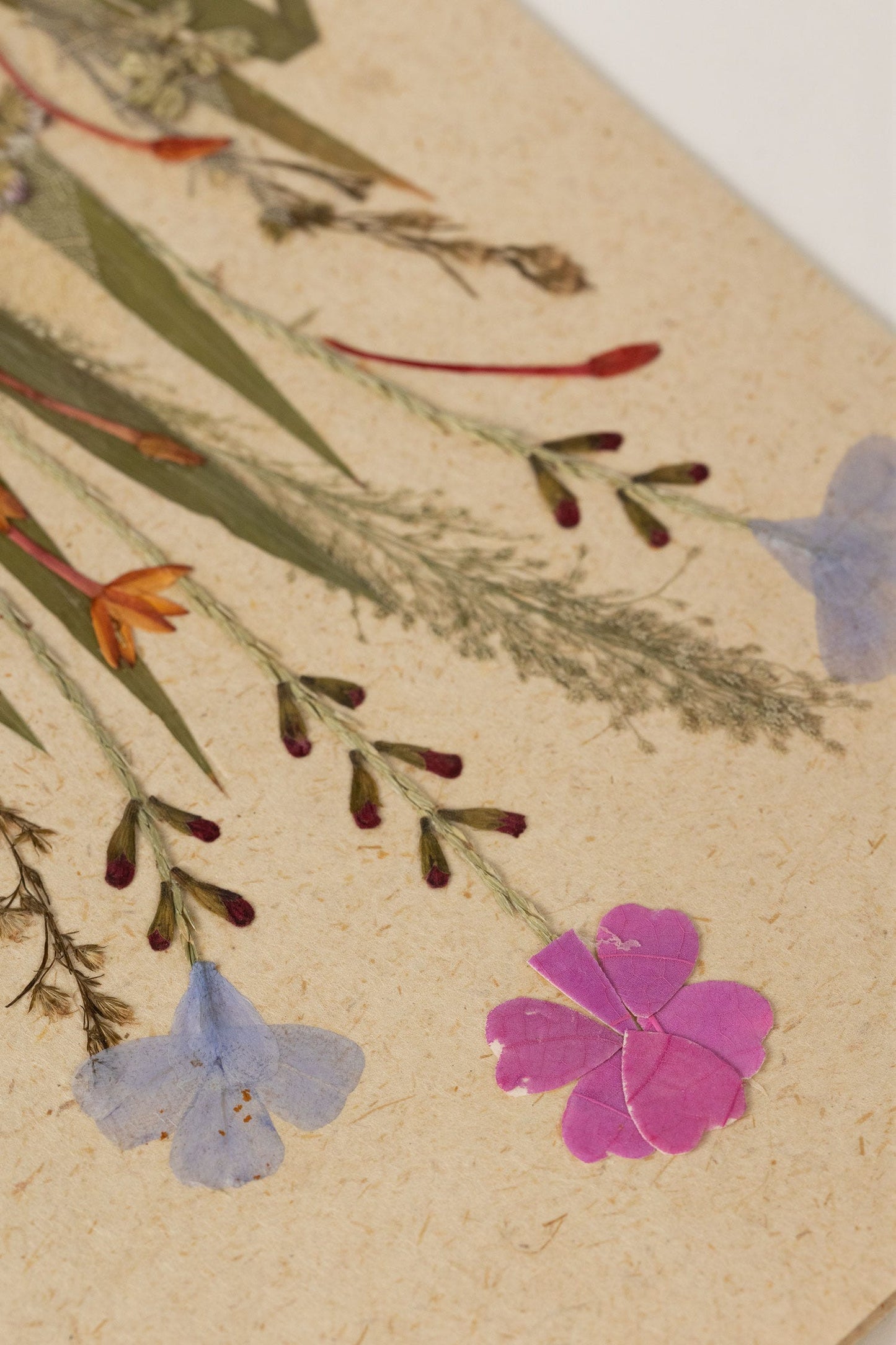 Card wildflower meadow M/3 ppr/flwrs 5x7 nat/multi