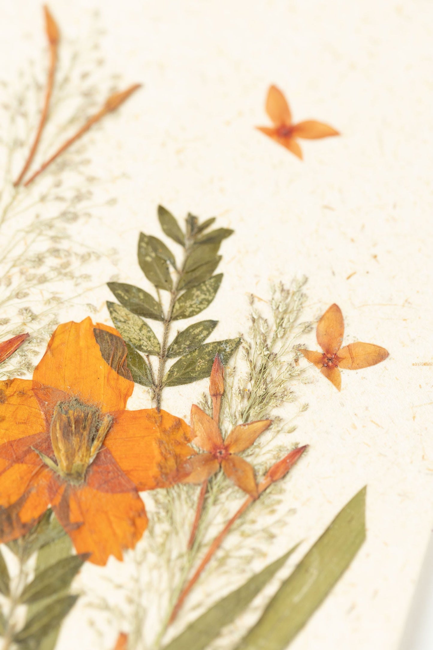 Card flower garden M/3 paper/flwr 5x7 tan/grn/orng