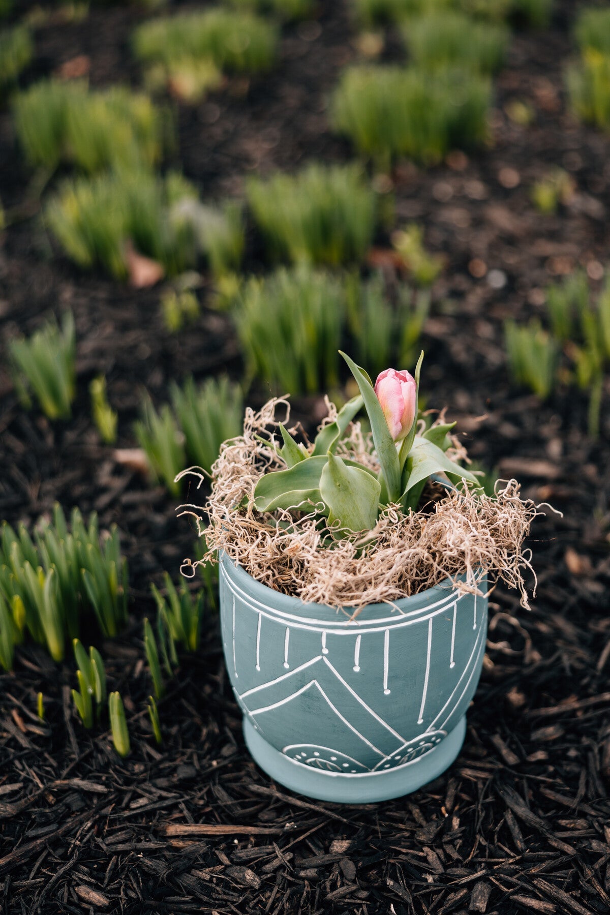 Planter rounded geo etched t-cotta 8Dx7 teal/white