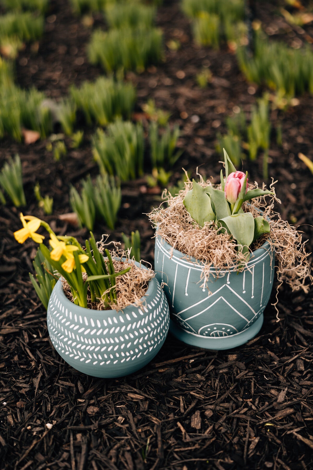 Planter rounded geo etched t-cotta 8Dx7 teal/white