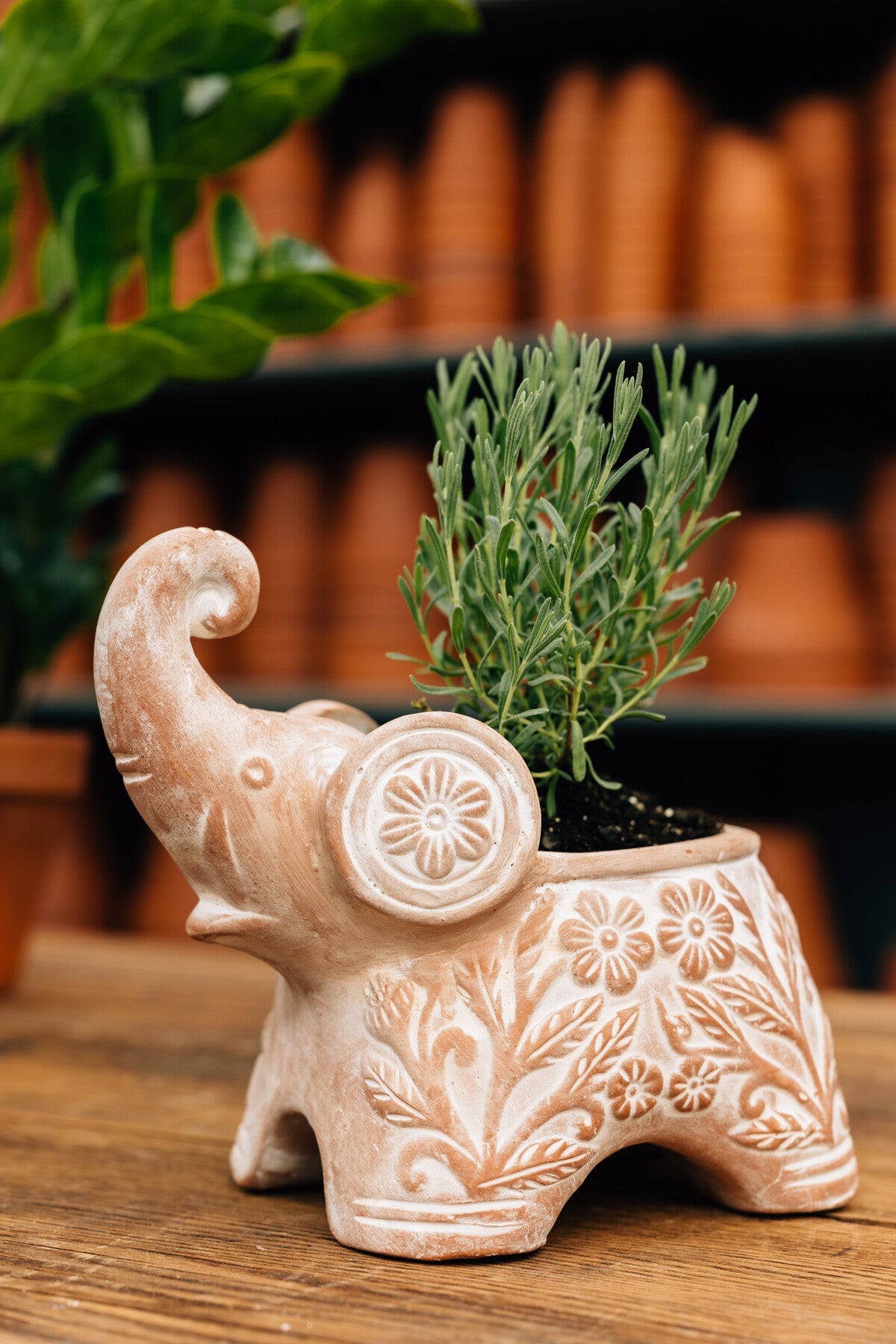 Planter elephant trunk up t-cotta 9Lx8H white wash