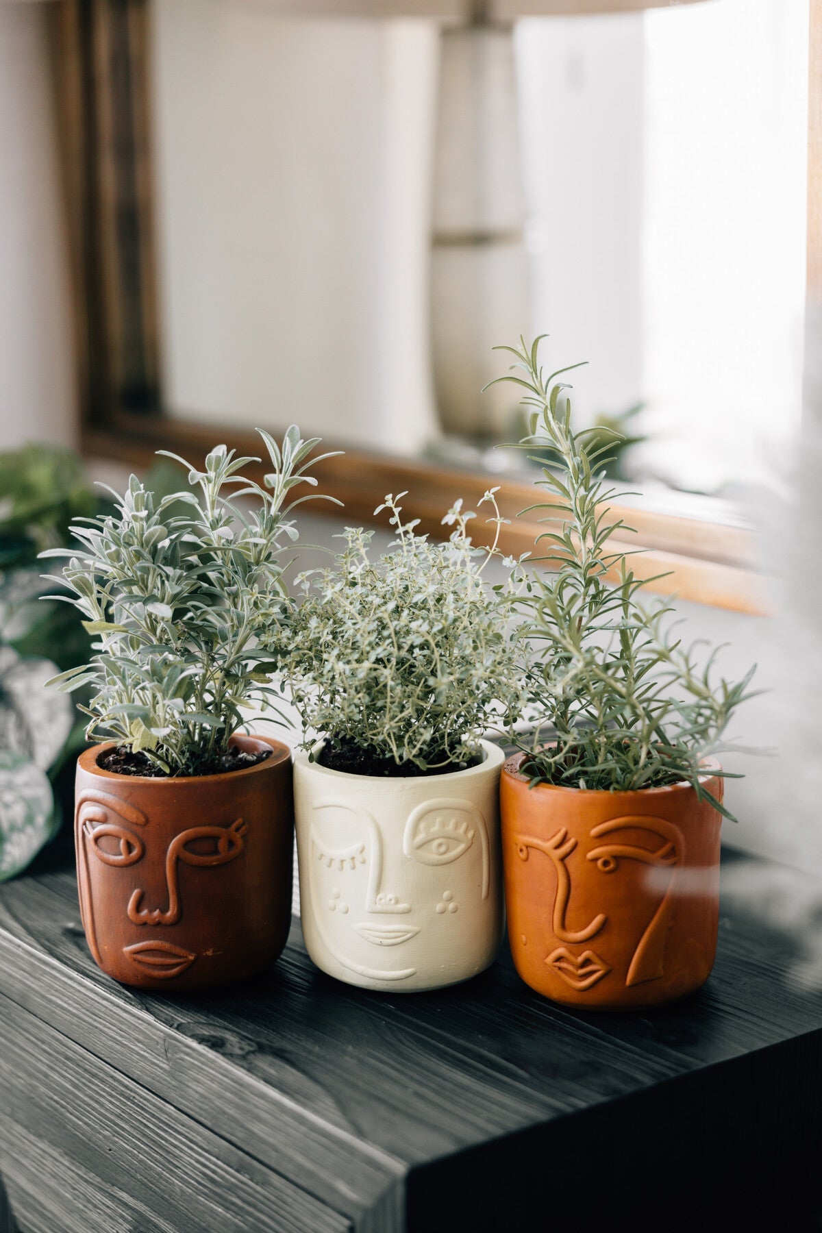 Planter girlfriend face/wink t-cotta 4Dx4.5H cream