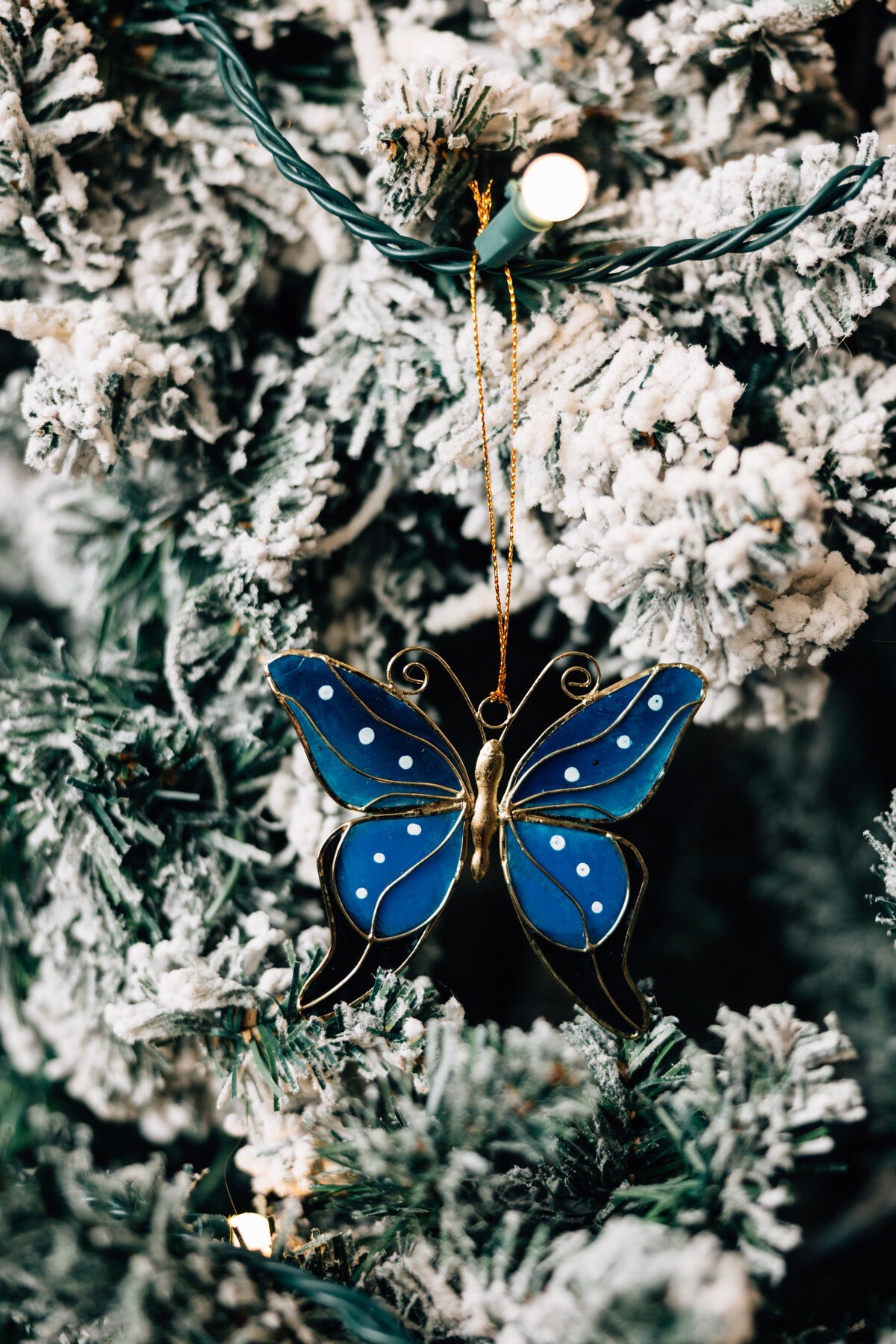 Ornament butterfly capiz 3.25Wx3H blue/black/gold