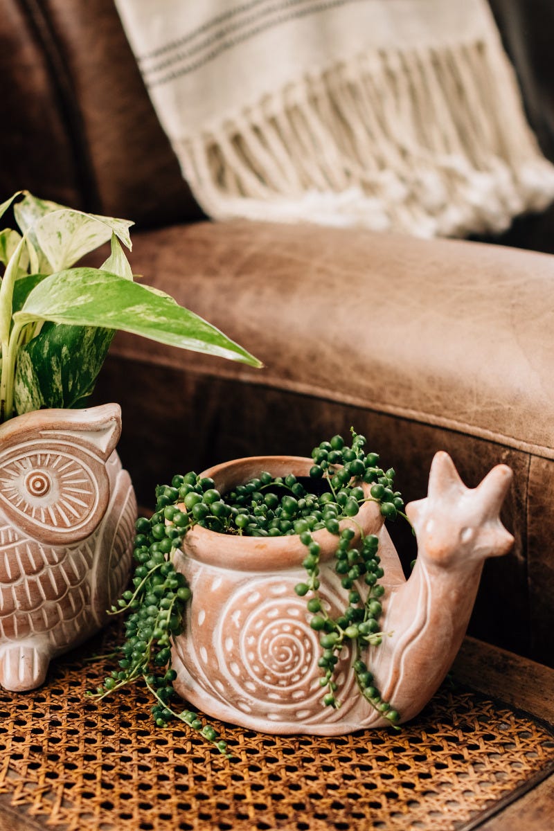 Planter snail terra cotta 8Lx5Wx6H white wash
